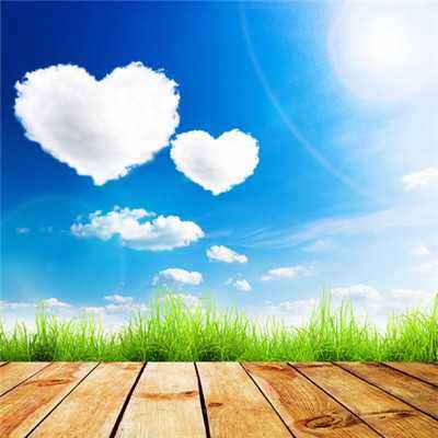 丁丁驯兽师之海豚投篮