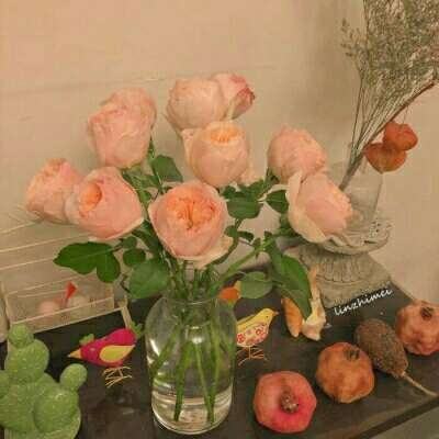 皇族史诗之战无敌版